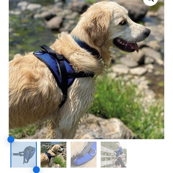 Nahak no pull dog training harness -Large - Picture 4 of 7